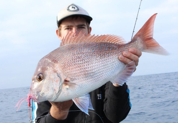 wa-albanypinksnapper28102016