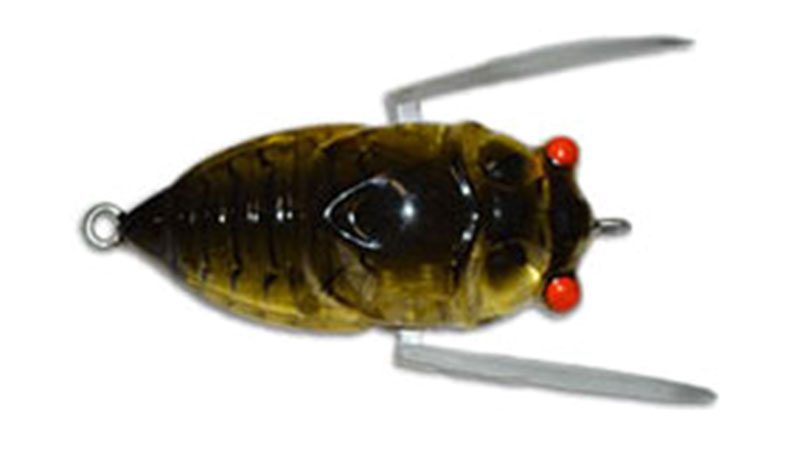 The AusTackle Insekta Cicada Lure - Know where to use this lure