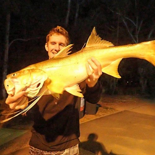 Land based Brisbane Fishing Spots | Fishing Spots Australia